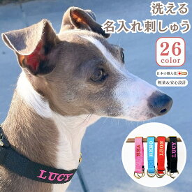 【名入れ巾着袋付】 ダブルリング 首輪 犬 名前 刺繍 名入れ 犬 シンプル オーダーメイド 犬の首輪 送料無料 おしゃれ 名入れ 迷子札 中型犬 小型犬 軽い 犬用首輪 サイズ調節可 雨の日 アウトドア 速乾