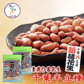 【令和7年産】　素煎り 落花生(千葉半立種)サイズ(中袋90g) 6袋までメール便配送・ピーナッツ落花生 殻付き ピーナッツ ピーナツ ぴーなっつ らっかせい ラッカセイ ぴーなつ おつまみ　千葉県産　千葉　ちば　国産【02P18Jun16】【HLS_DU】【RCP】