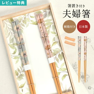 _{Si|Cg5{^vw u Zbg CV_ and NATURE AhlC`[ t[  nV {  yA VR ˔  l Mtg v[g j LO vw 