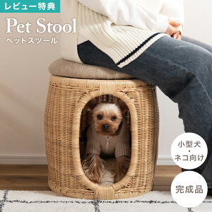 ybgXc[ ybgnEX ybg ֎q Xc[ ^ L PET-66  CX ^ VR    ˂ NbV [ i` Vv   43cm ybgp 킢 `