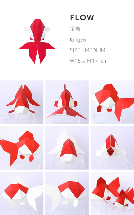 楽天市場 錦鯉 金魚 インテリア ペーパークラフト 工作キット おうちじかん Kakukaku カクカク Flow M 動物 魚 フィギュア オブジェ 置物 おもちゃ 図工 夏休み 宿題 工作 自由研究 キット 子供 大人 おしゃれ かわいい インテリア カジュアル 紙 簡単 ギフト プレゼント