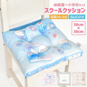 zc ct wZ NbV ֎qp 킢 30×30cm TCY ̎q q LbY XN[NbV ԂƂ  St 􂦂 wZp w ۈ牀 sN p[v F  