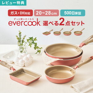 y9/5IIōő300|CgҌzyTztCp Zbg evercook Go[NbN Iׂ 2_Zbg IHΉ hEVV DOSHISHA KXΉ 500ۏ ~XeBsN Ă 20cm 