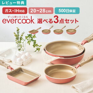 y9/5IIōő300|CgҌzyTztCp Zbg evercook Go[NbN Iׂ 3_Zbg IHΉ hEVV DOSHISHA KXΉ 500ۏ ~XeBsN Ă 20cm 