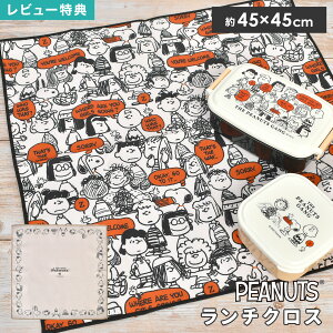 `NX Xk[s[ SNOOPY ٓ H itL qǂ wZ 45cm 킢  l q q jq ct ۈ牀 w w Z VɂȂɂ |GXe 􂦂 