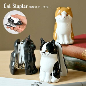 zb`LX L ObY G 킢  [ Xe[v[ z`LX  ^  ˂   LD a v[g  ̎q q v` ~j Mtg n` 