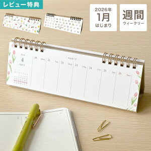 J_[ 2026   킢 O ~j  ߘa8N EB[N[ T߂ T jn܂ 1n܂ RpNg X matoka }gJ CAL-164 CAL-165  t[ Aj} 