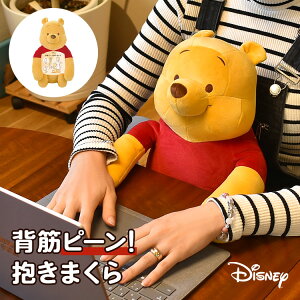 抱き枕 ぬいぐるみ 洗えるの人気商品 通販 価格比較 価格 Com