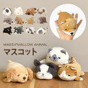 マスコット ぬいぐるみ ねむねむアニマルズ プレミアム 猫 くま 犬 小さい ミニ クッション かわいい キャラクター 女の子 りぶはあと 動物 ふわふわ ネコ 柴犬 カワウソ たぬき キツネ パンダ ヒョウ シロクマ シュナウザー ゴリラ 誕生日 プレゼント ギフト ぬい撮り人形