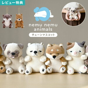 }XRbg ʂ L[z_[ ˂ނ˂ރAj}Y ~j  10N  ӂӂ Aj} `F[}XRbg 킢 LN^[  L   pO JE\ ̎q q