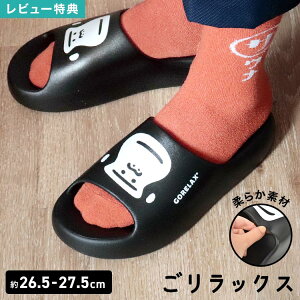 T_ bNX L 25 26 27 28 cm Y EVA  jZbNX jp S LN^[ fB[X V[T_ Xbp y  TEi C Xp W y x_ 