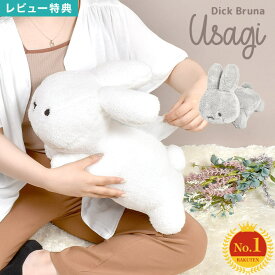 【特典あり】ティッシュカバー キャラクター ディック ブルーナ うさぎ かわいい おしゃれ ティッシュケース ティッシュボックスカバー インテリア 生活雑貨 男の子 女の子 プレゼント ギフト 大きい キッズ 子供 可愛いdick bruna ミッフィー 白 ホワイト 可愛い 動物