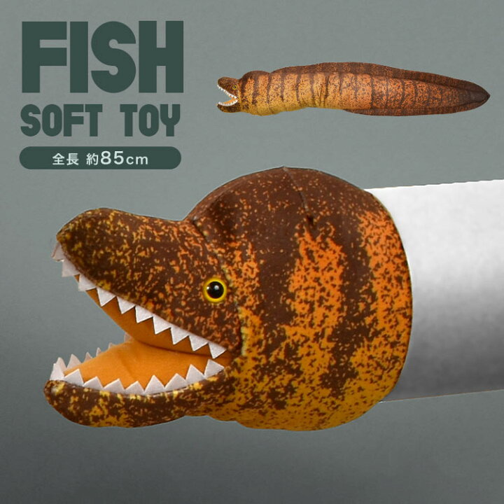 楽天市場】ウツボ ぬいぐるみ グッズ _ リアル クッション インテリア  