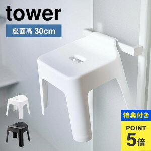 yTz|CCX C R ^[ ʍ30cm oX`FA V[`FA C C֎q tower Vv |[  oX`FA[ ubN zCg C