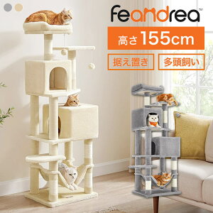 Lbg^[  u FD L^[ ^L X nbN  155cm 1.5m ^ VjAL  FEANDREA ȃXy[X 킢 O[ x[W ]|h~ gݗĎ 