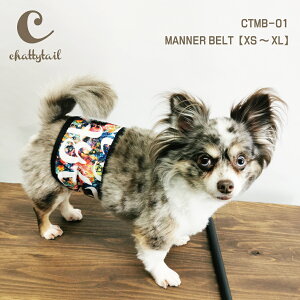 [֑Ichattytail `beB[eC}i[xg CTMB-01 XS`XLTCYy   j̎q IX gC Ic RۖhL L UVJbg RsO zE ^ 