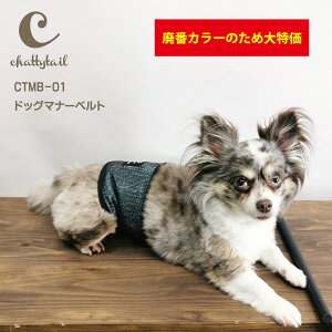 pԃJ[̂ߑI[֑Ichattytail `beB[eC}i[xg CTMB-01 XS`XLTCYy   j̎q IX gC Ic RۖhL L UVJbg Rs