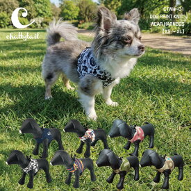メール便送料無料！chattytail 吸水・速乾！UVカット！柔らかい着け心地！ウェアハーネス CTWH-01XS～XLサイズ【犬 ハーネス 胴輪 お散歩 クッション性 可愛い おしゃれ 超小型犬 小型犬 中型犬 エコ 抗菌・防臭 ノンホルマリン プレゼント包装対象商品】