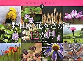 【中古】 野山の花をさがす12か月 (生きものカレンダー 1)