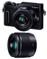 楽天市場】panasonic dc-gf10w-wの通販