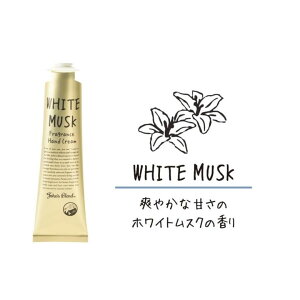 JohnfsBlend WYuh nhN[ zCgXN  v[g zCgXN XNWX~ T{XN