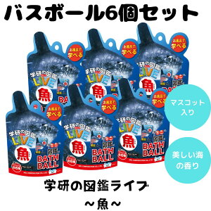 oX{ oX{[  w }ӃCu  C V y oX^C ܂Ƃߔ lC 6Zbg