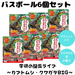 oX{ oX{[ JugV NK^ BIG w }ӃCu  C V y oX^C ܂Ƃߔ lC 6Zbg