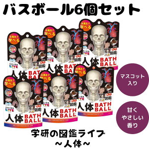 oX{ oX{[ l w }ӃCu  C V y oX^C ܂Ƃߔ lC 6Zbg