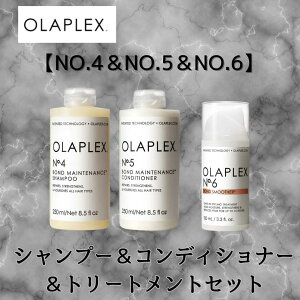 Ki IvbNX {heiX Vv[ RfBVi[ NO.4 NO.5 NO.6 􂢗Ȃ g[gg {hX[T[ 3{ Zbg OLAPLEX ꔄi _[W GCWO  