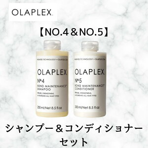 Ki IvbNX {heiX Vv[ NO.4 RfBVi[ NO.5 Zbg OLAPLEX T e ꔄi _[W GCWO  PA