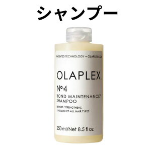 Ki IvbNX {heiX Vv[ NO.4 RfBVi[ NO.5 􂢗Ȃ g[gg {hX[T[ NO.6 OLAPLEX T e ꔄi _[W GCWO f