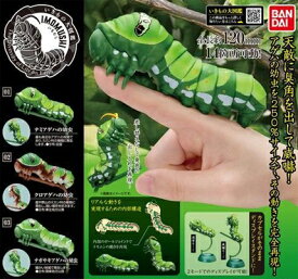 楽天市場 ガチャガチャ 芋虫の通販