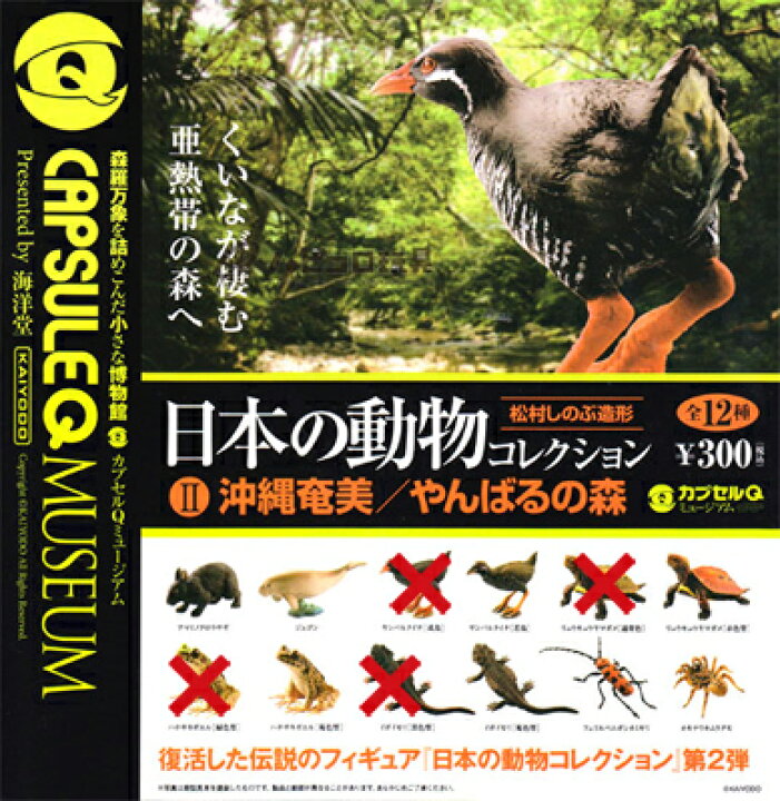 楽天市場 海洋堂 カプセルqミュージアム 日本の動物コレクションii 沖縄奄美 やんばるの森 Bカラーver 8種セット ハビコロ トイ
