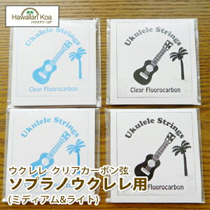 EN   nCAERA IWiEN @ 4ZbgpbN \vmp e2Zbg @NAtJ[{  (ymcd)