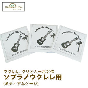 EN   nCAERA IWiEN 3ZbgpbN \vmp ~fBAQ[W NAtJ[{  (ymcd)