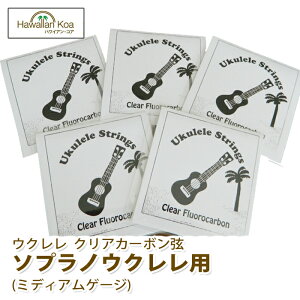 EN   nCAERA IWiEN 5ZbgpbN \vmp ~fBAQ[W NAtJ[{  (ymcd)