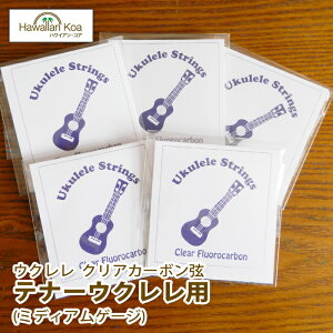 EN   nCAERA IWiEN 5ZbgpbN ei[p ~fBAQ[W NAtJ[{  (ymcd)