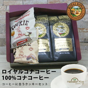 Ε Ε Mtg av[g A R[q[ MtgZbg LO َq 100RiR[q[ MtgZbg CRiR[q[ t }J_~Aibc NbL[ nC oY