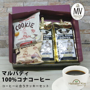 nEB Mtg av[g R[q[ MtgZbg LO َq Mtg 100RiR[q[ MtgZbg }ofB t }J_~Aibc NbL[ LION COFFEE 蕨 oYj 