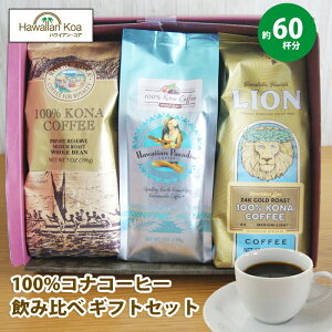 Ε Ε Mtg av[g oYj j j R[q[ MtgZbg  CIR[q[ CRiR[q[ 100RiR[q[ v[g 蕨 R[