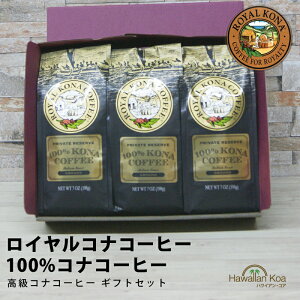 Ε Ε Mtg av[g R[q[ MtgZbg LO j Mtg R[q[ Mtg  CRiR[q[ 100RiR[q[   LO v[g nC 