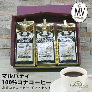 Ε Ε Mtg av[g 100RiR[q[   R[q[ LO j }ofB RiR[q[ 蕨 Ԃ oYj j R[q[ yY R[q[ 