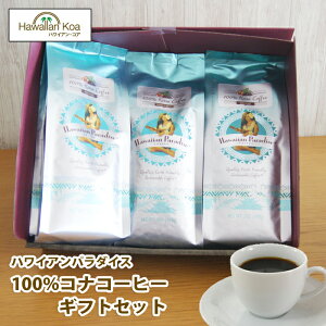 Ε Ε Mtg av[g R[q[ MtgZbg av[g j Mtg  100RiR[q[   蕨 nC oY j Ԃ oYj j 