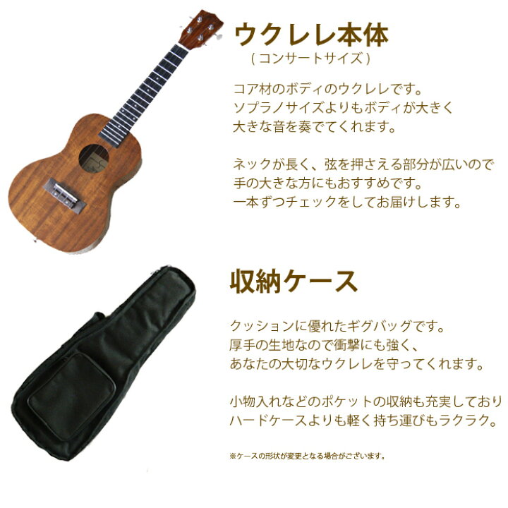 楽天市場】ウクレレ 初心者セット コア材 コンサート 入門セット  