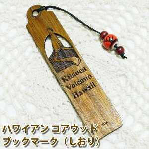  ubN}[J[  ubN}[N  ChCnC nC #14 RAEbh nCARA LEGAΎR HP[m