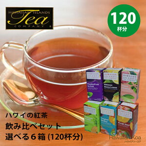 g eB[obO  nCAACh t[ceB[  nC̍g t[o[eB[g nC ACXeB[ nC\ł6eCXgZbg 20eB[obO×6