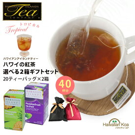 お中元 ギフト 誕生日プレゼント 紅茶 ギフトセット ティーバッグ トロピカルティー 選べる2箱セット ハワイの紅茶 フレーバーティー 贈り物 プレゼント ハワイ アイスティー hawaiian island tea お土産 内祝い お返し 2025 高級 (tysm)