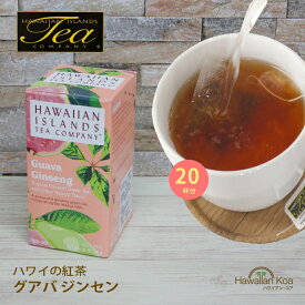 ハワイ 紅茶 ティーバッグ ハワイアンアイランド ハワイの紅茶　グアバ・ジンセン 20ティーバッグ フレーバーティー 紅茶 ハワイ hawaiian island tea (tysm)