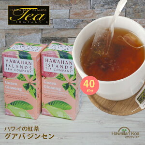 �n���C �g�� �e�B�[�o�b�O �n���C�A���A�C�����h �n���C�̍g���@�O�A�o�E�W���Z�� 20�e�B�[�o�b�O 2���Z�b�g �t���[�o�[�e�B�[ �g�� �n���C hawaiian island tea (anpnmn)