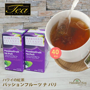 nC g eB[obO nCAACh nC̍g pbVt[cEiEp 20eB[obO 2Zbg t[o[eB[ g ACXeB[ hawaiian island tea (ymcd)